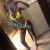 Lara Sevimli Escort Bayan Melis - Image 1
